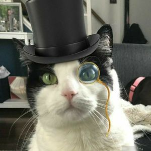 Meet your Posher, Ted